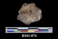 藏品(角礫岩)的圖片